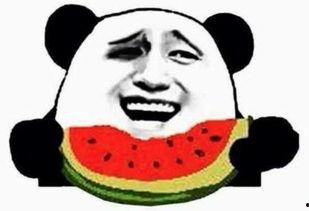 白眼吃瓜全集完整,揭秘娱乐圈背后的真相与笑料