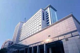 东旭吃瓜,揭秘娱乐圈幕后真相