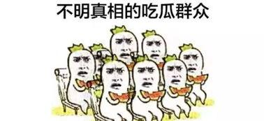 不爱吃瓜的吃瓜群众,揭秘不吃瓜群众的独特视角