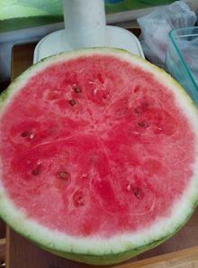 吃瓜差点怀孕,揭秘网络谣言背后的真相