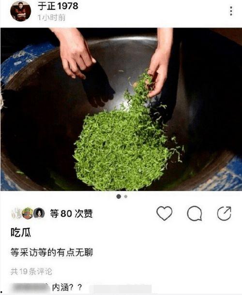 吃瓜博主绿茶,揭秘吃瓜博主绿茶背后的真相与内幕