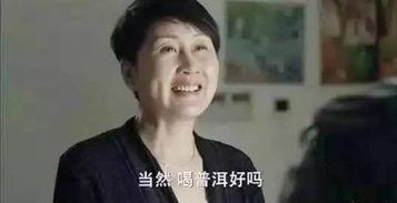 剧情里吃瓜,揭秘剧情背后的秘密与真相