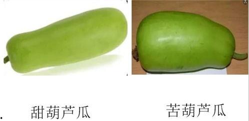 淄博渣男吃瓜,吃瓜群众揭秘渣男真面目