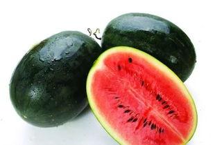 广西行建吃瓜,一场别开生面的“吃瓜”之旅