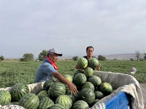 吃瓜根据地,网络舆论场中的热点追踪与理性分析
