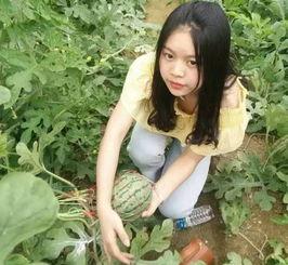 落绫的吃瓜,揭秘娱乐圈幕后风云