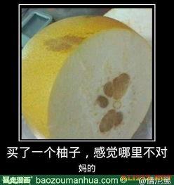 奥利奥吃大瓜,一场甜蜜与刺激的味蕾冒险